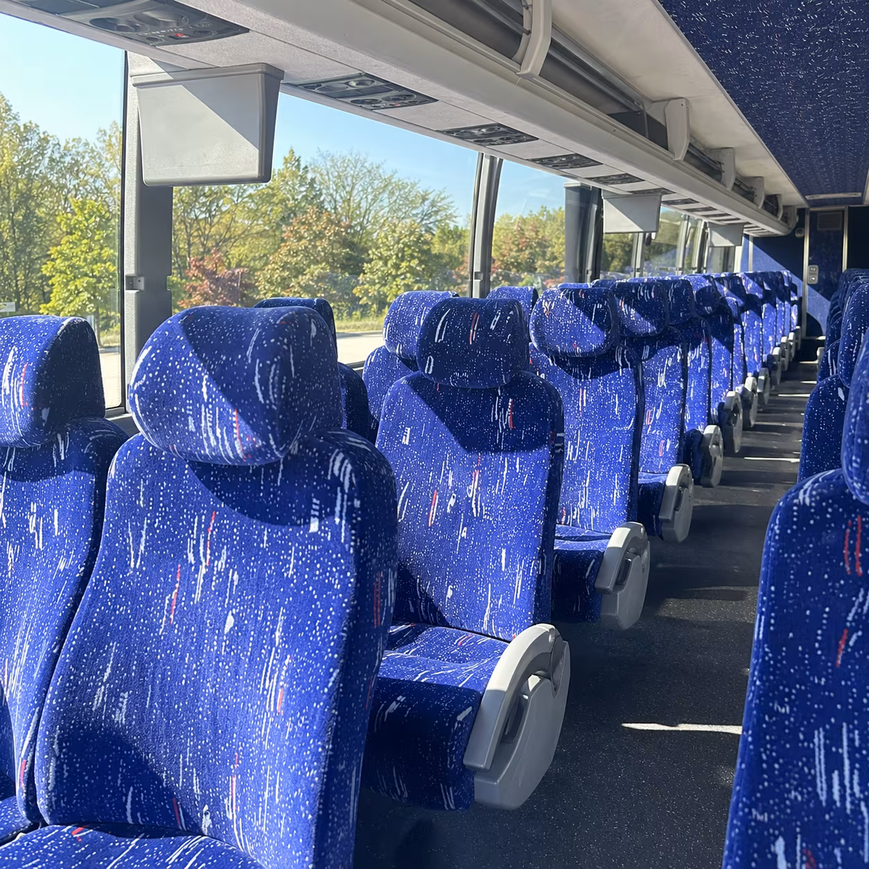potter park zoo field trips are so much easier with a charter bus
