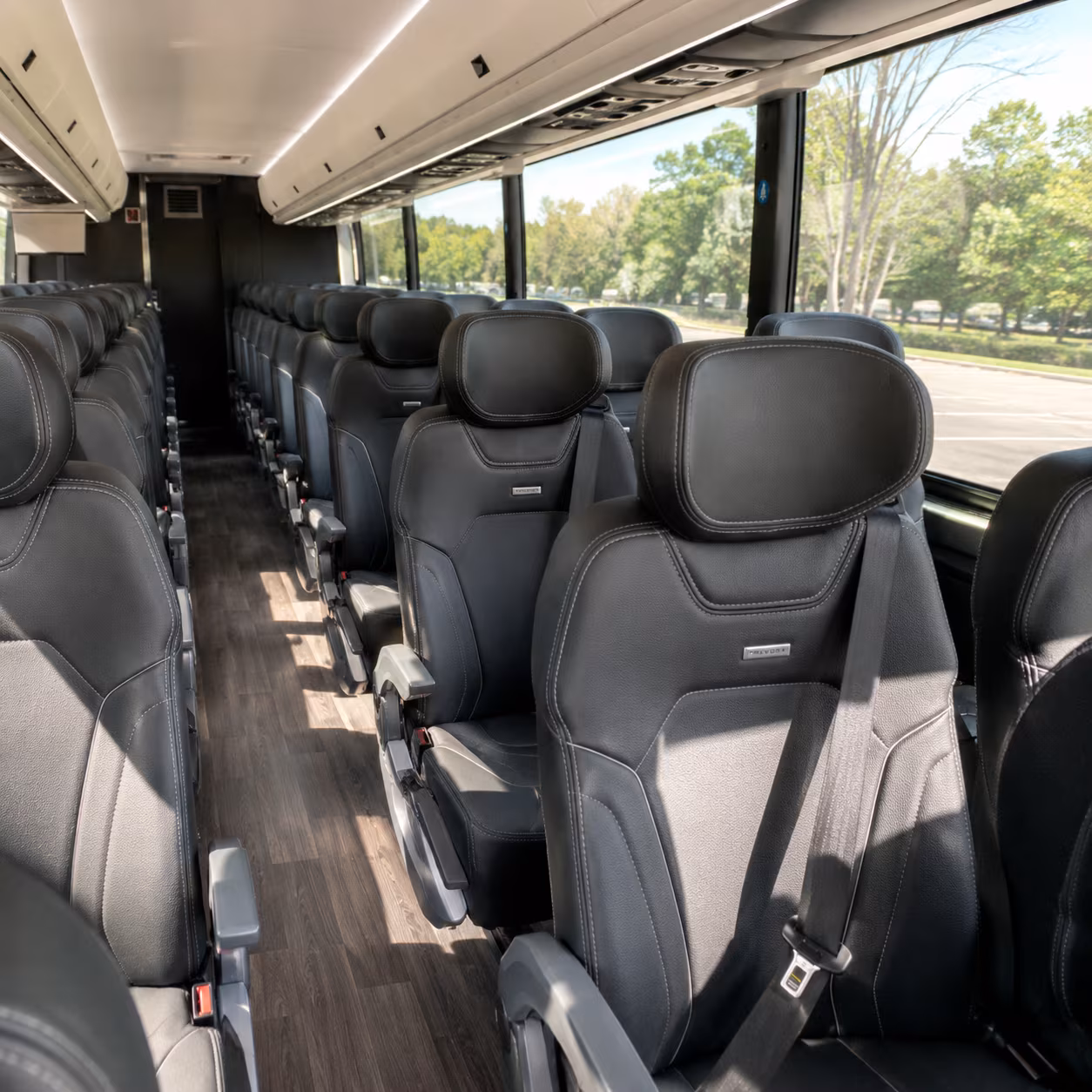 you ll love a party bus for a night out on grand river avenue